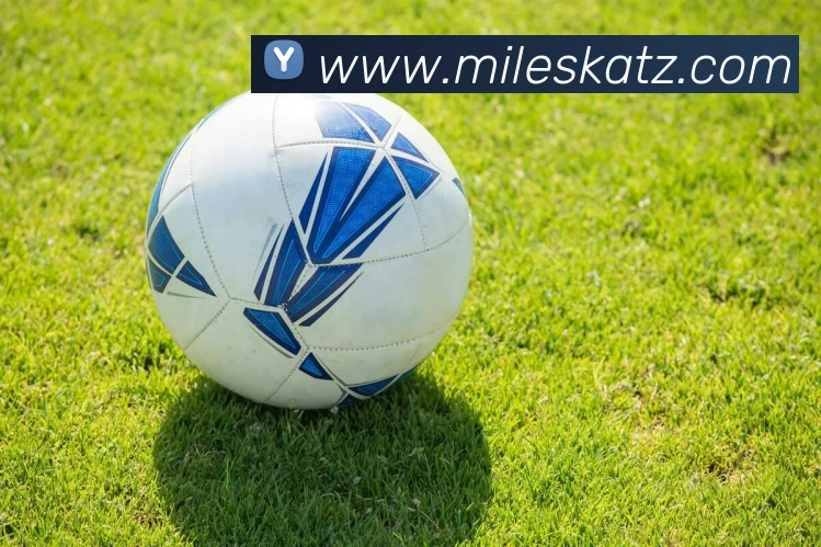 米乐m6全站App 米乐m6全站App